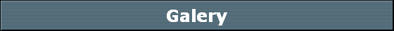 Galery